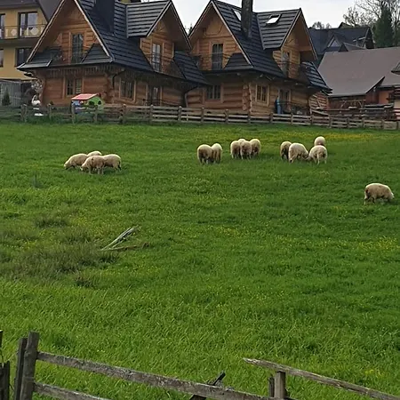 Luksusowe Domki Elizy Luxury Chalets